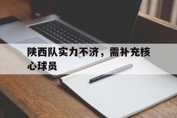 IM电竞sports-陕西球队历史